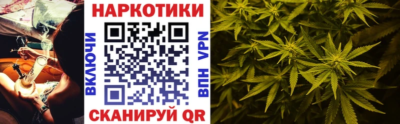 Где купить Шацк Альфа ПВП Мефедрон Псилоцибиновые грибы Каннабис