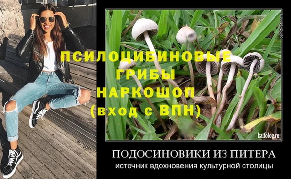 бутират Алексин