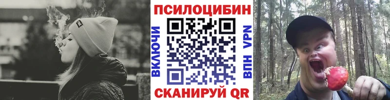 блэк спрут ссылка  Шацк  Галлюциногенные грибы Cubensis 